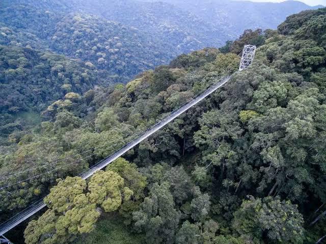  4 Days in Nyungwe & Lake Kivu Escape